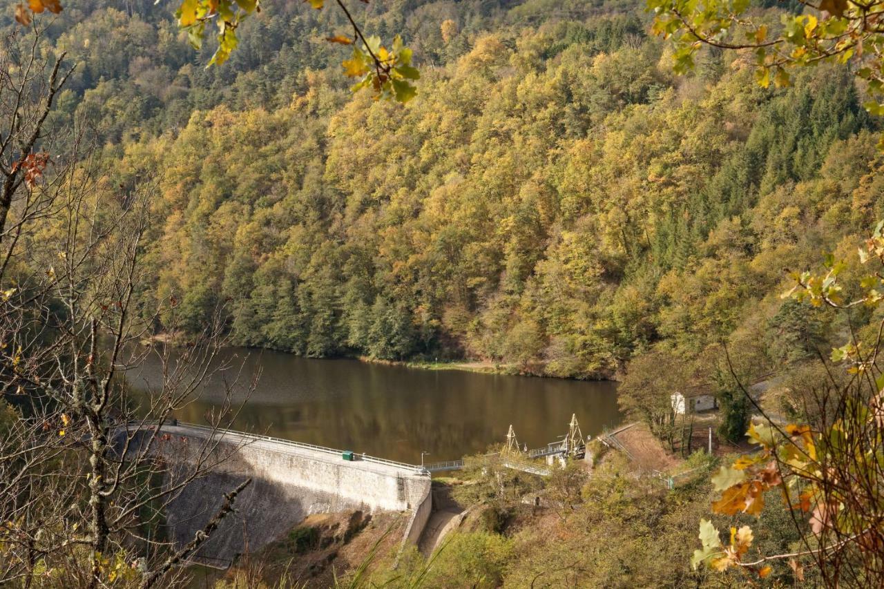 Gite De Sauviat 25 Chemin Du Grand Pacher Le Bourg De Sauviat 63120 Εξωτερικό φωτογραφία