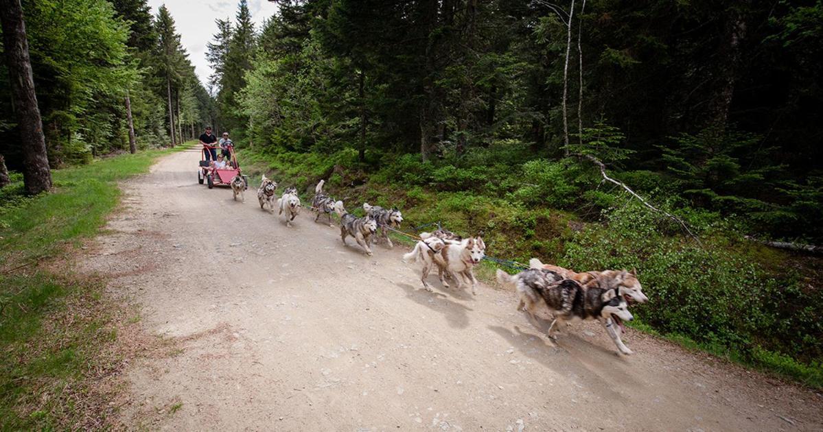 Gite De Sauviat 25 Chemin Du Grand Pacher Le Bourg De Sauviat 63120 Εξωτερικό φωτογραφία